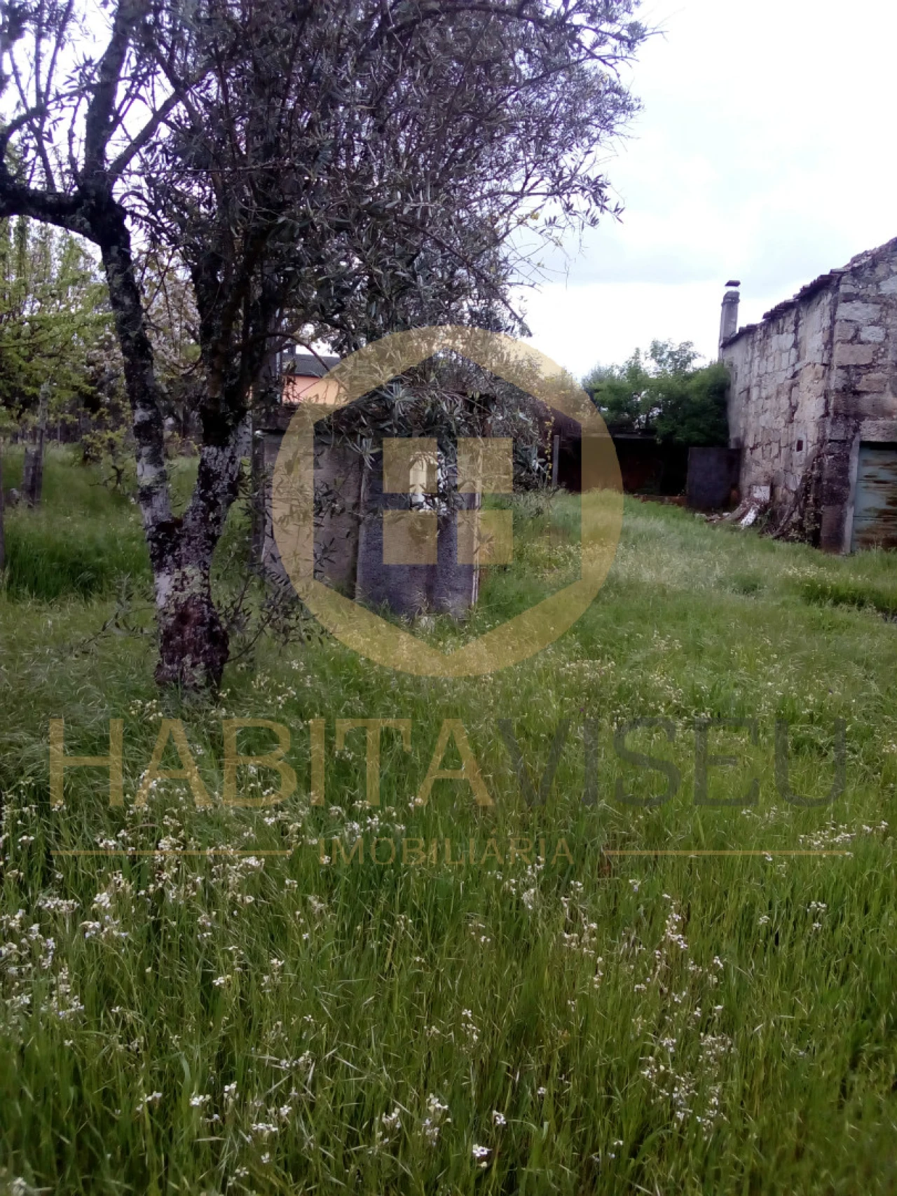 Quinta T4 para Venda em Mangualde, Mesquitela e Cunha Alta Foto 8