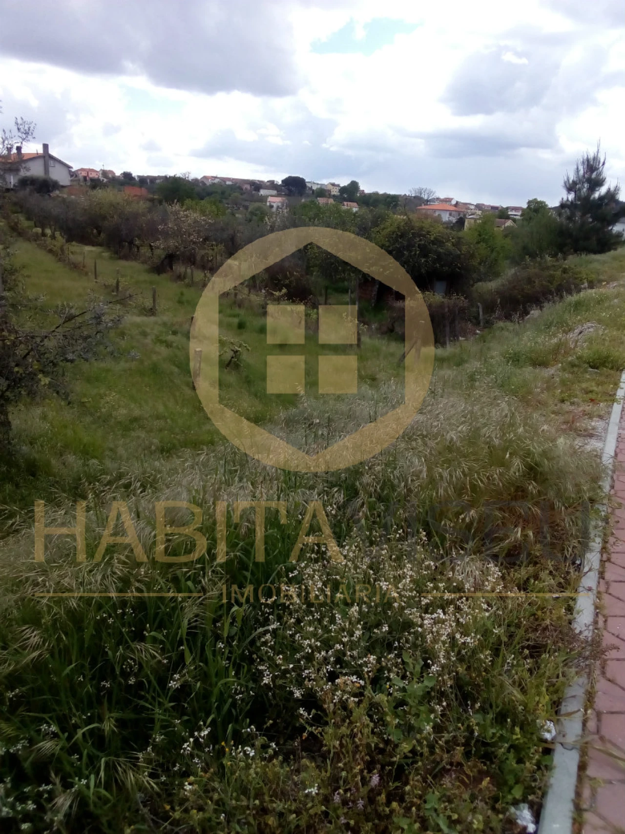 Quinta T4 para Venda em Mangualde, Mesquitela e Cunha Alta Foto 2