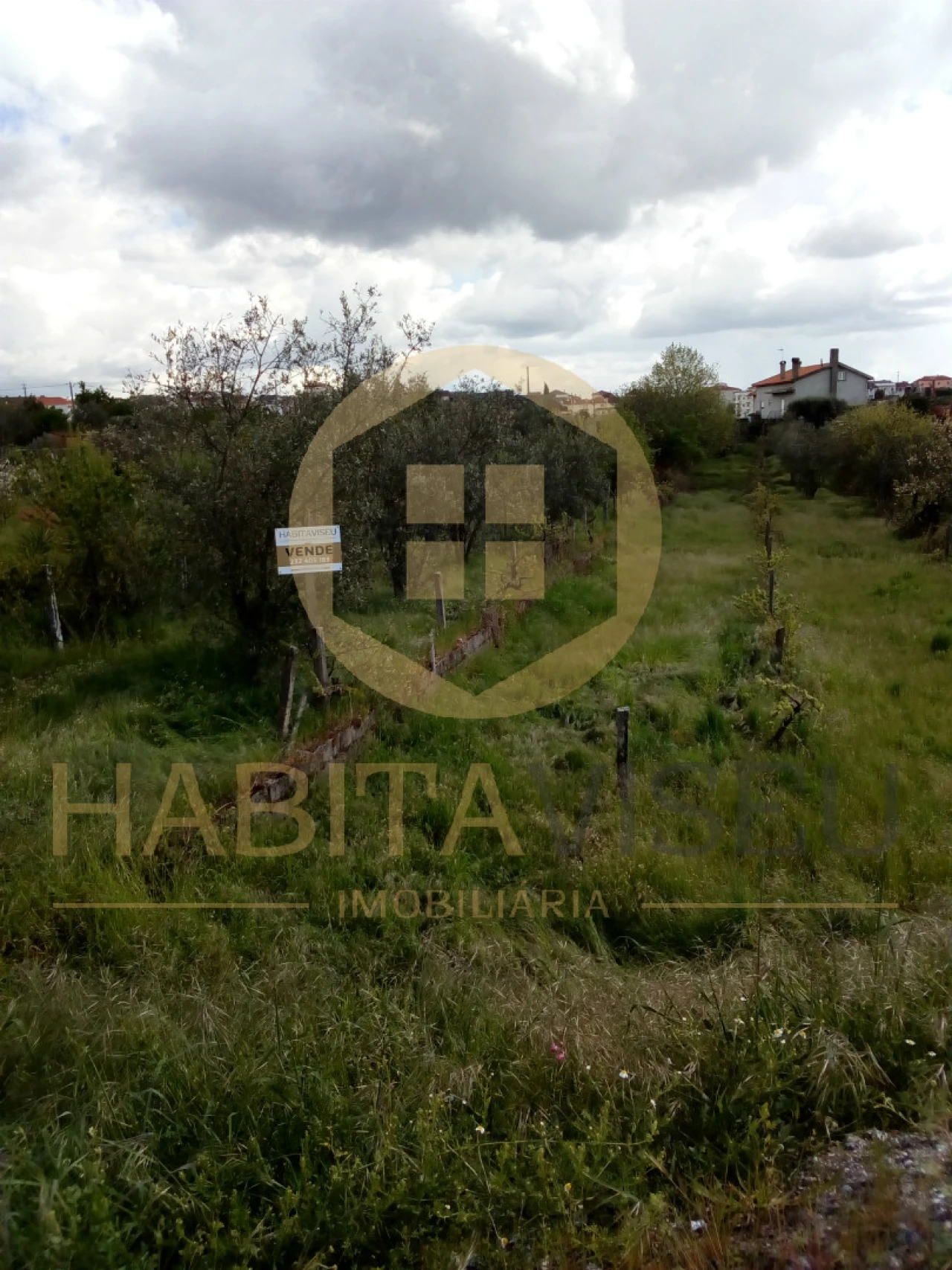 Quinta T4 para Venda em Mangualde, Mesquitela e Cunha Alta Foto 29