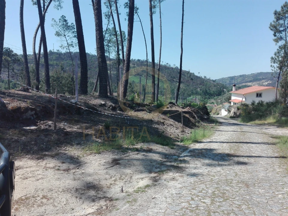 Terreno para Venda em Santar e Moreira Foto 10
