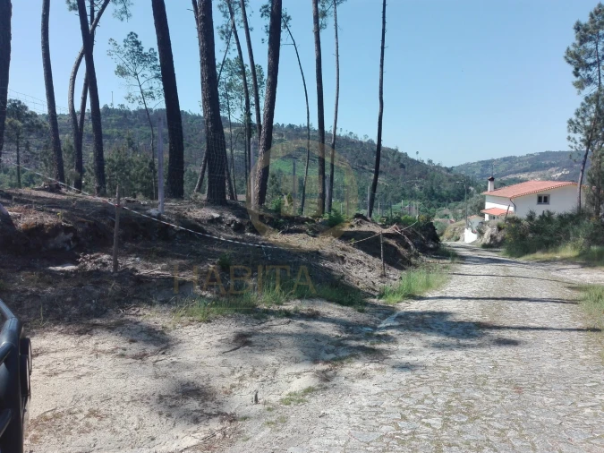 Terreno para Venda em Santar e Moreira Foto 10