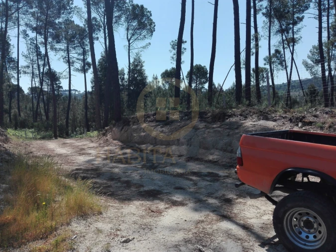 Terreno para Venda em Santar e Moreira Foto 13