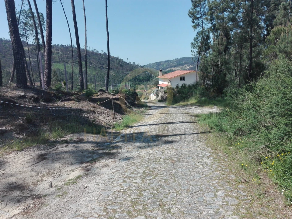 Terreno para Venda em Santar e Moreira Foto 11