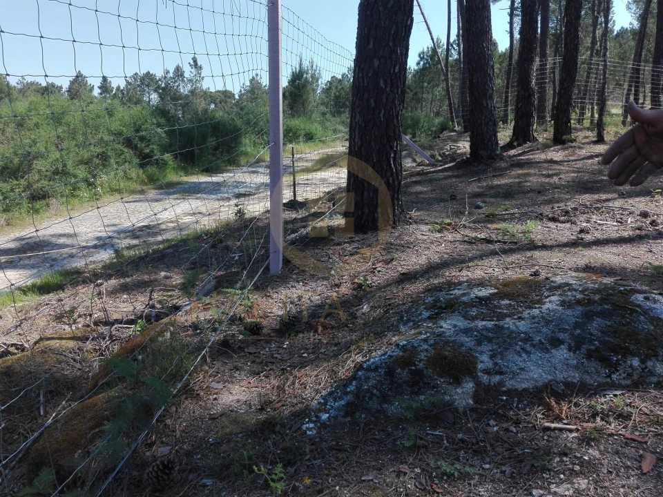 Terreno para Venda em Santar e Moreira Foto 7