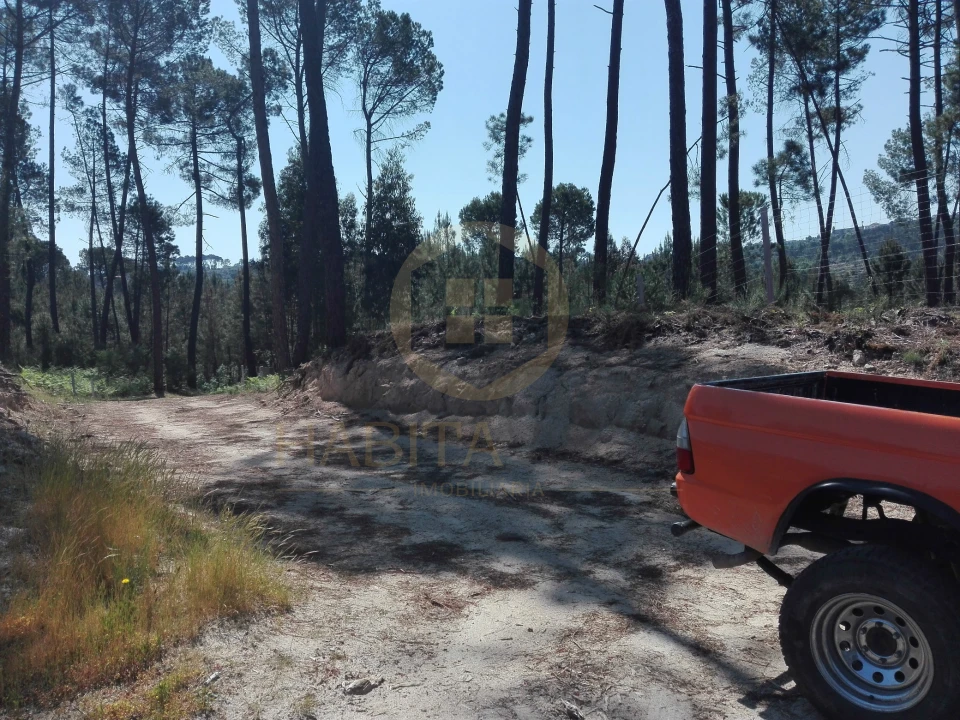 Terreno para Venda em Santar e Moreira Foto 13