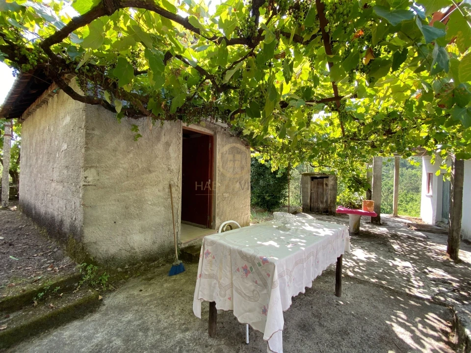 Moradia T3 para Venda em Sul Foto 21