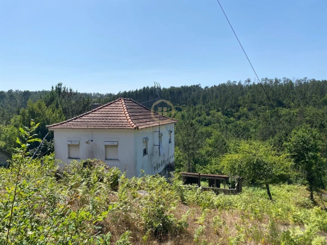 Moradia T3 para Venda em Sul Foto 35