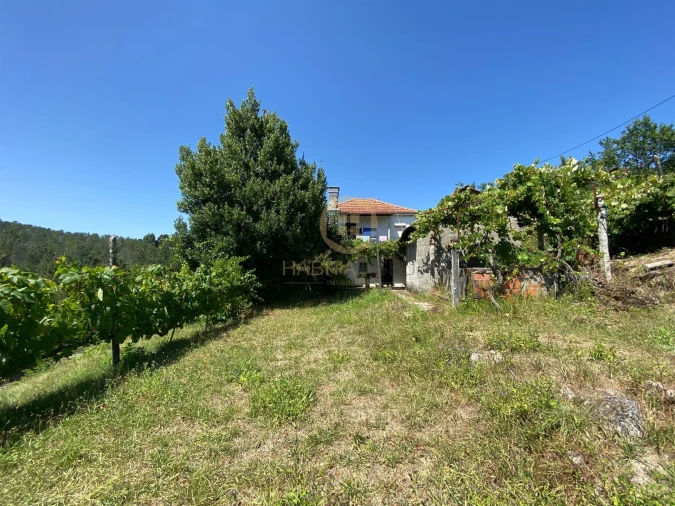 Moradia T3 para Venda em Sul Foto 1