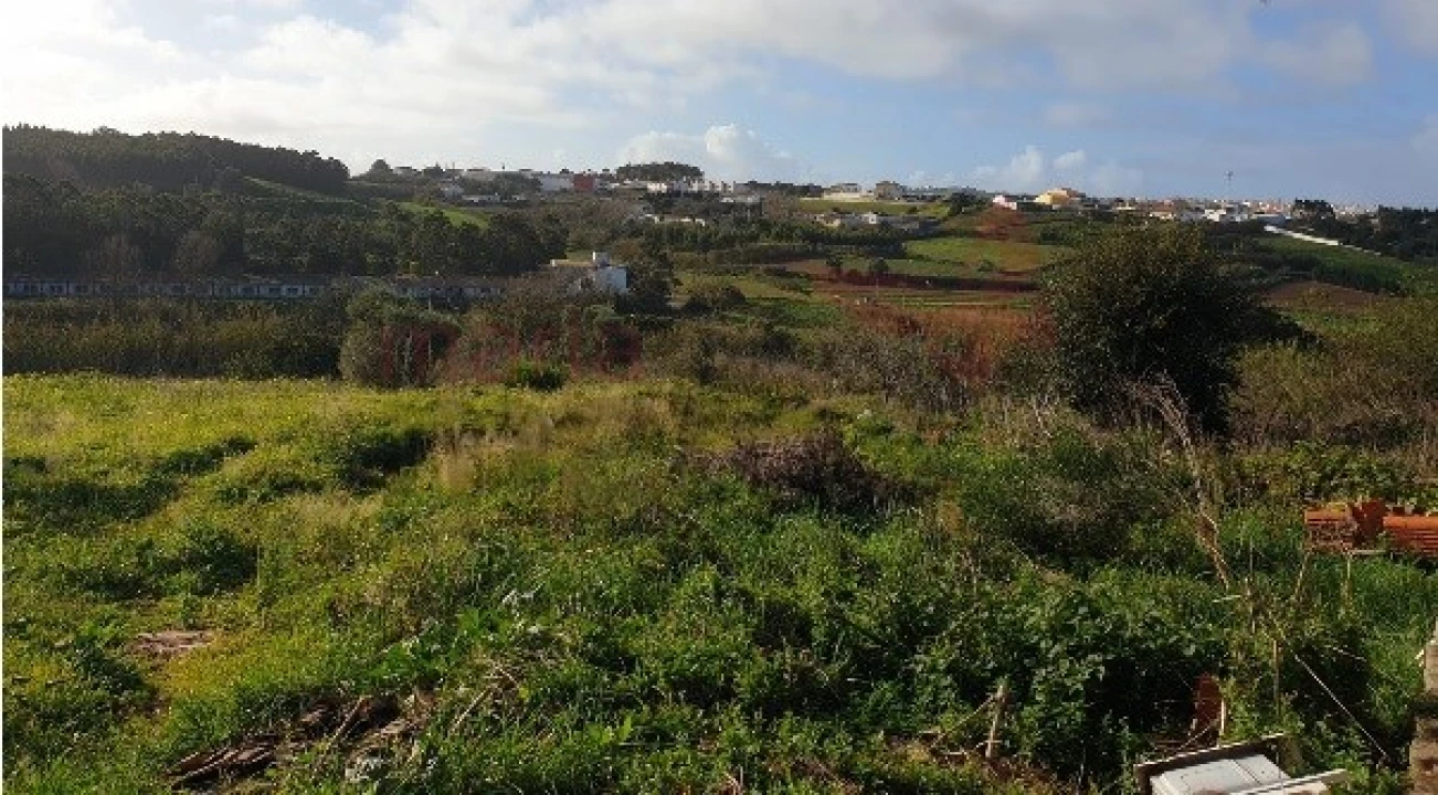 Terreno Agricola ou Rústico para Venda em Lourinhã e Atalaia Foto 4