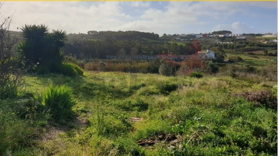 Terreno Agricola ou Rústico para Venda em Lourinhã e Atalaia Foto 1