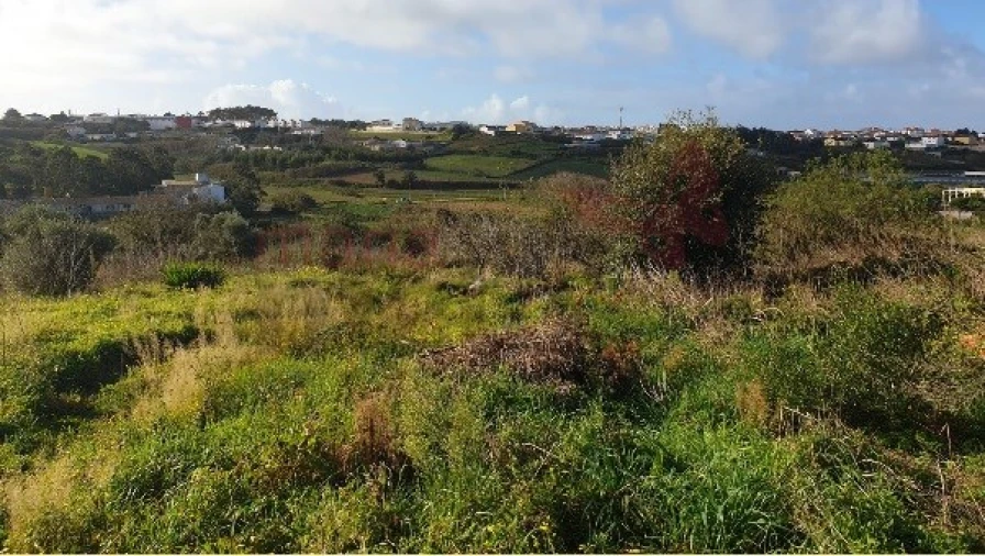 Terreno Agricola ou Rústico para Venda em Lourinhã e Atalaia Foto 2