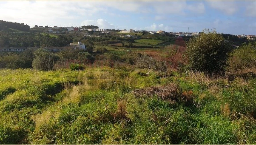 Terreno Agricola ou Rústico para Venda em Lourinhã e Atalaia Foto 3