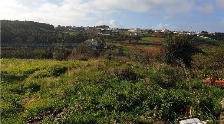 Terreno Agricola ou Rústico para Venda em Lourinhã e Atalaia Foto 4