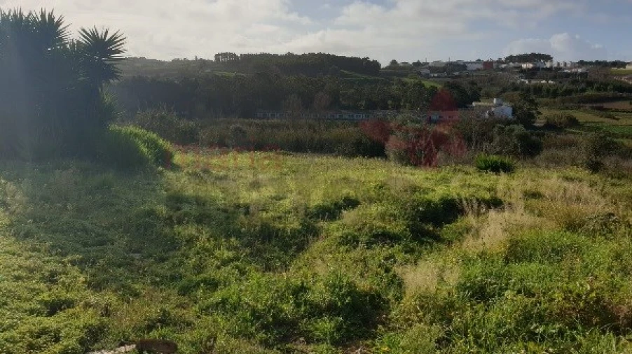 Terreno Agricola ou Rústico para Venda em Lourinhã e Atalaia Foto 5