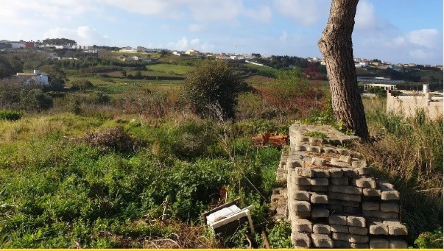 Terreno Agricola ou Rústico para Venda em Lourinhã e Atalaia Foto 6