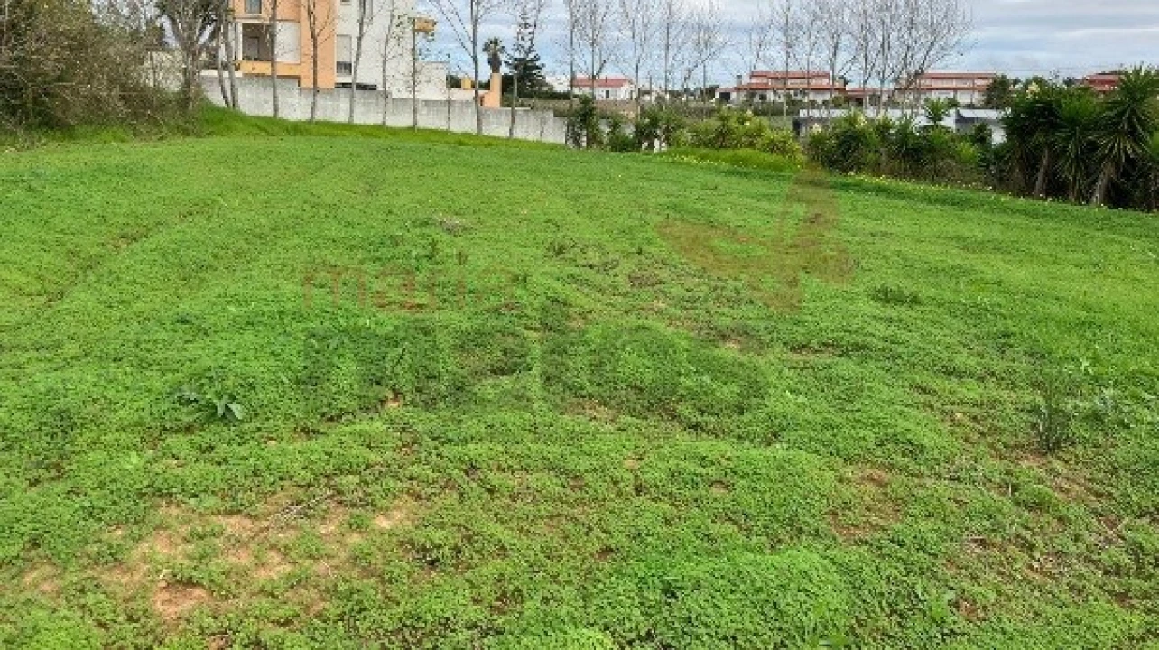 Terreno para Venda em Lourinhã e Atalaia Foto 1