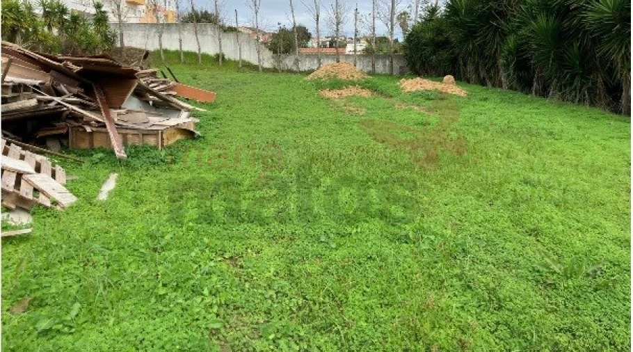 Terreno para Venda em Lourinhã e Atalaia Foto 2