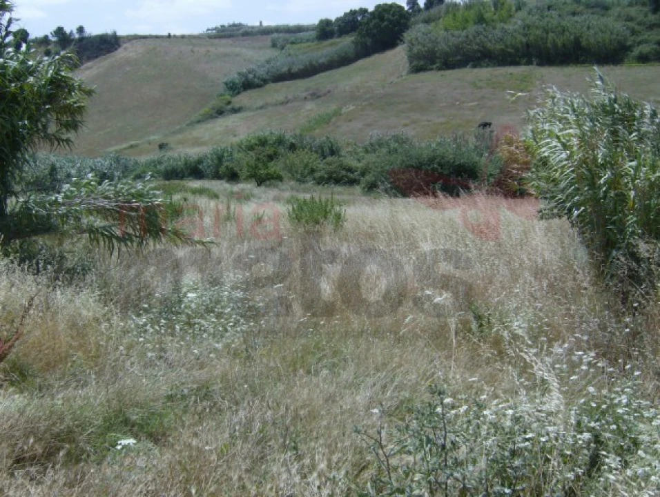 Terreno Agricola ou Rústico para Venda em Lourinhã e Atalaia Foto 2