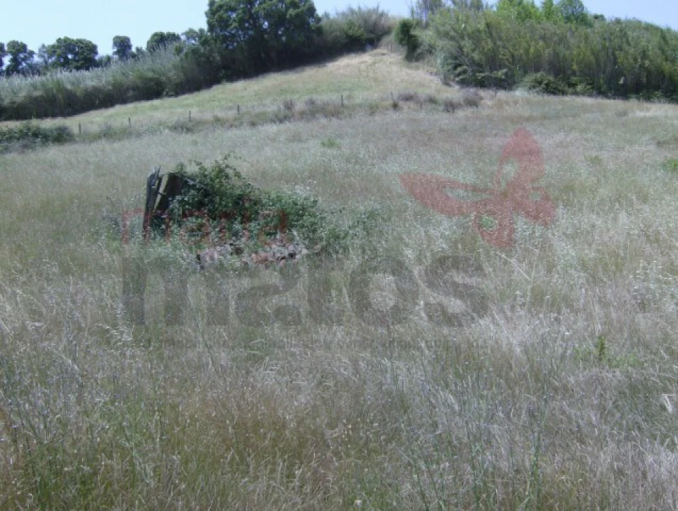 Terreno Agricola ou Rústico para Venda em Lourinhã e Atalaia Foto 8