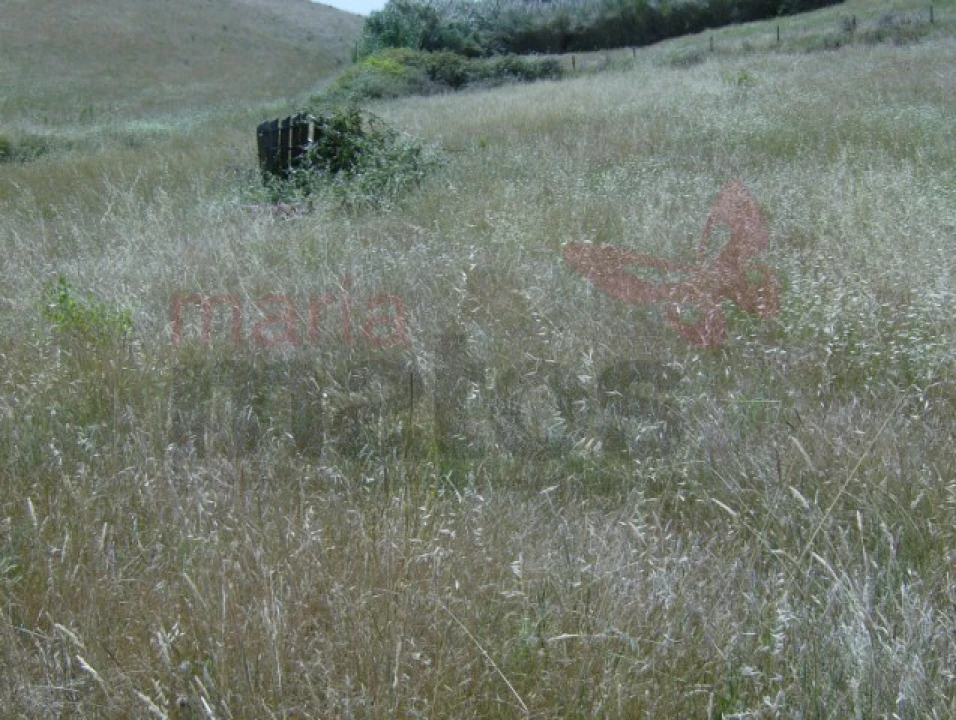 Terreno Agricola ou Rústico para Venda em Lourinhã e Atalaia Foto 9