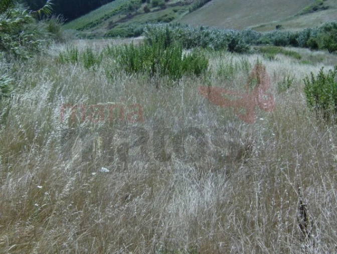 Terreno Agricola ou Rústico para Venda em Lourinhã e Atalaia Foto 3