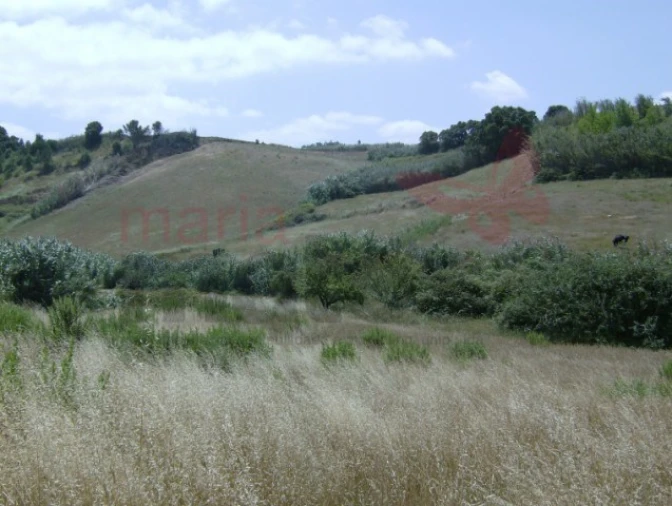 Terreno Agricola ou Rústico para Venda em Lourinhã e Atalaia Foto 1