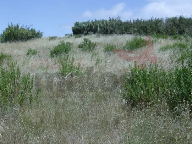 Terreno Agricola ou Rústico para Venda em Lourinhã e Atalaia Foto 5