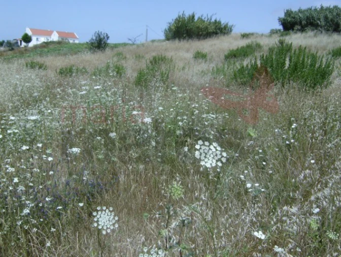 Terreno Agricola ou Rústico para Venda em Lourinhã e Atalaia Foto 6