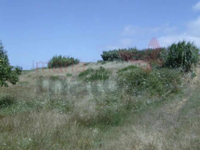 Terreno Agricola ou Rústico para Venda em Lourinhã e Atalaia Foto 7