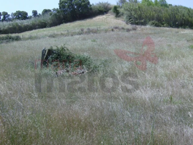 Terreno Agricola ou Rústico para Venda em Lourinhã e Atalaia Foto 8