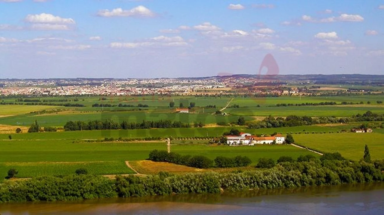Negócio para Venda em Almeirim Foto 4