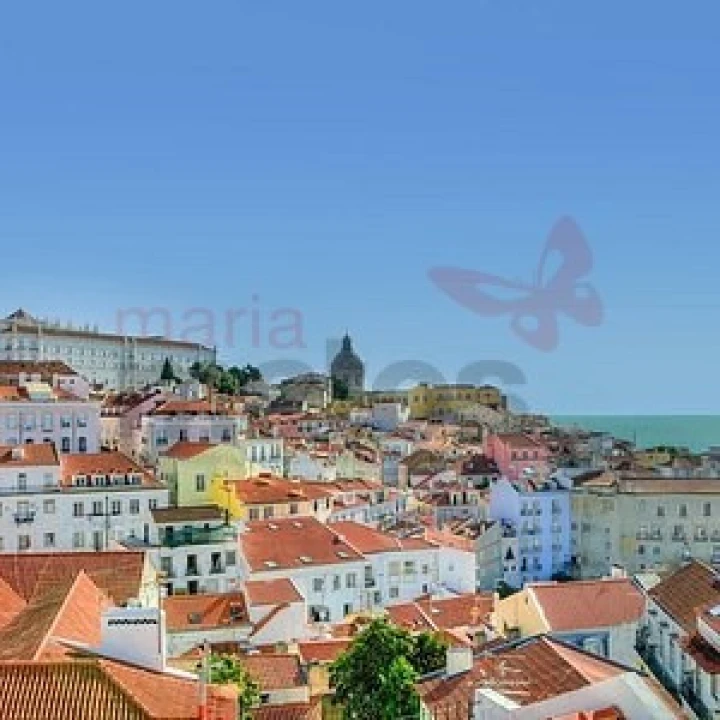 Negócio para Venda em Almeirim Foto 5