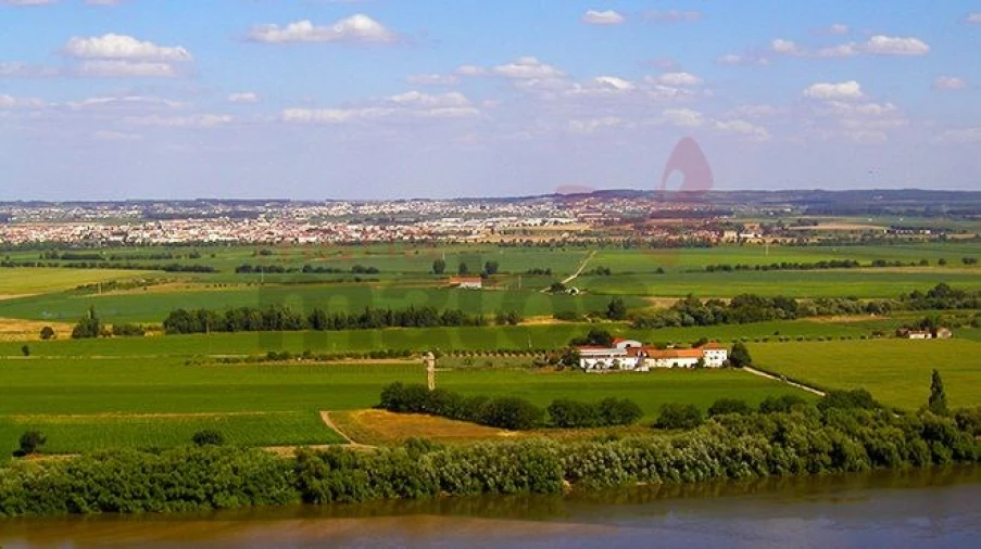 Negócio para Venda em Almeirim Foto 4