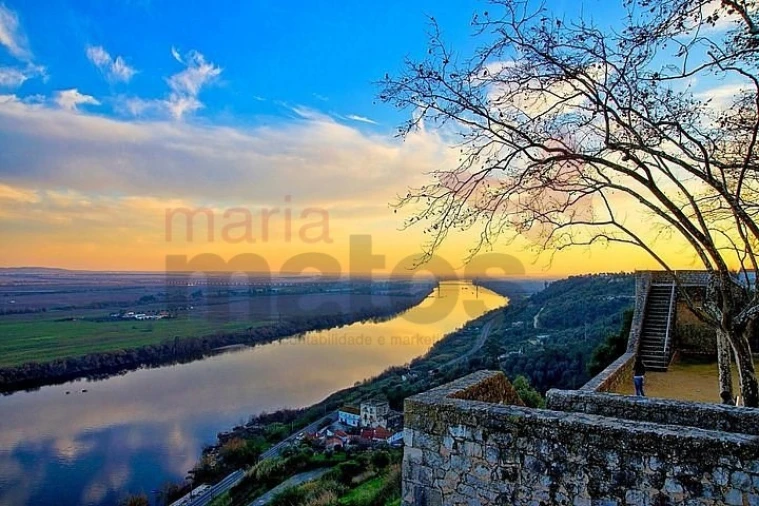 Negócio para Venda em Almeirim Foto 9