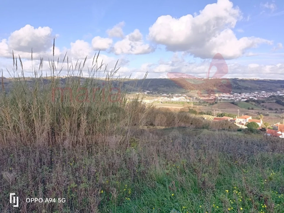 Terreno para Venda em Roliça Foto 1
