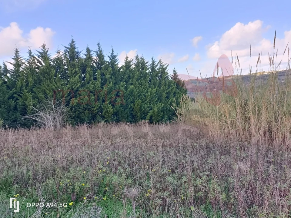 Terreno para Venda em Roliça Foto 2