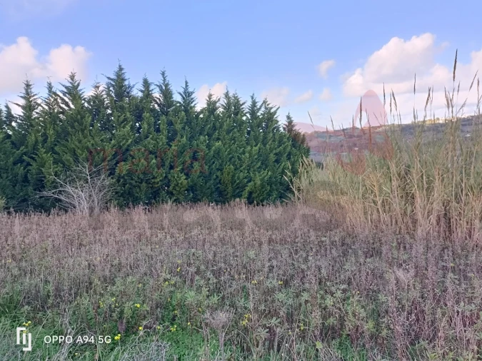 Terreno para Venda em Roliça Foto 2