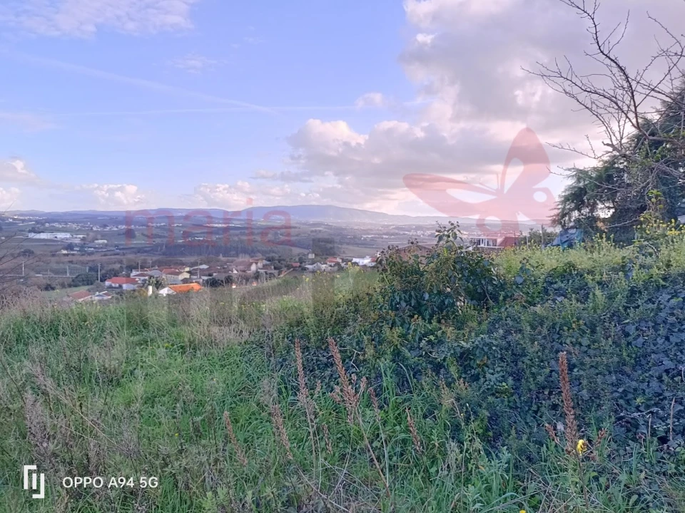 Terreno para Venda em Roliça Foto 5