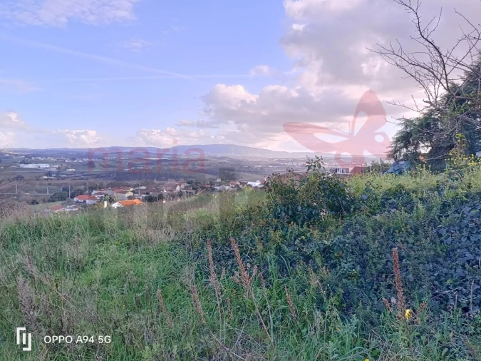 Terreno para Venda em Roliça Foto 5