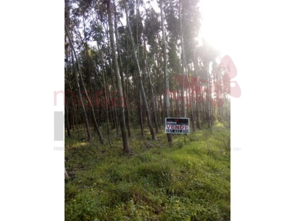 Terreno para Venda em Lourinhã e Atalaia Foto 1