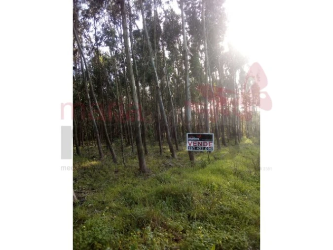 Terreno para Venda em Lourinhã e Atalaia