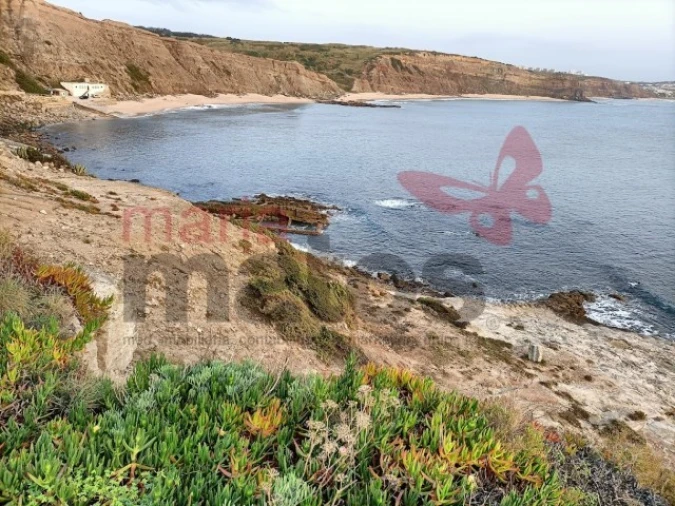 Terreno Agricola ou Rústico para Venda em Lourinhã e Atalaia Foto 12