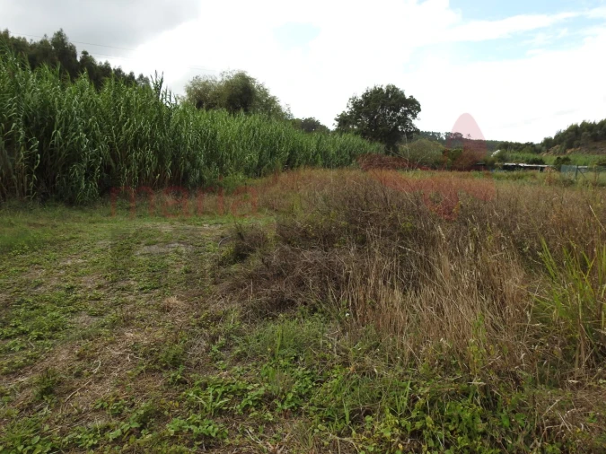 Terreno para Venda em Ramalhal Foto 6