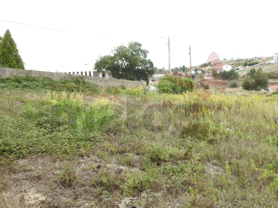 Terreno para Venda em Ramalhal Foto 2