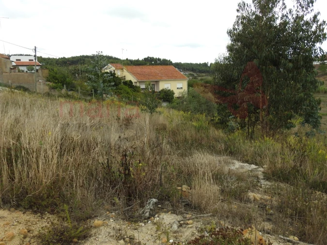 Terreno para Venda em Ramalhal Foto 8