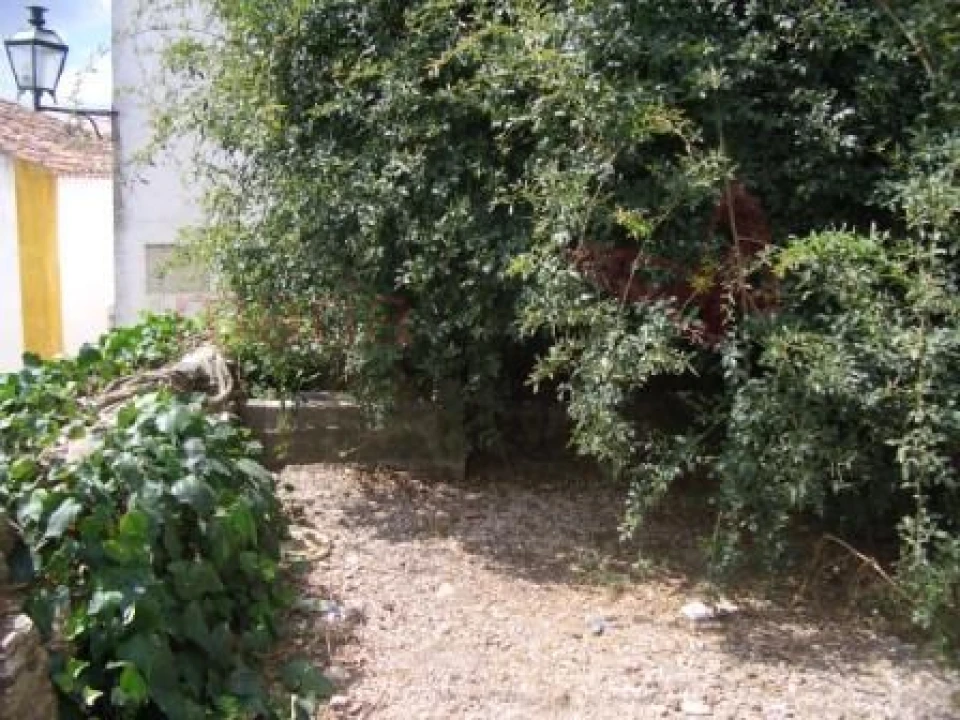 Terreno para Venda em Santa Maria, São Pedro e Sobral da Lagoa Foto 2