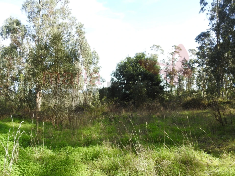 Terreno para Venda em Roliça Foto 1