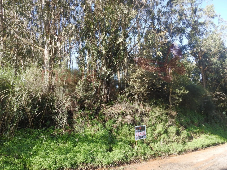 Terreno para Venda em Roliça Foto 8