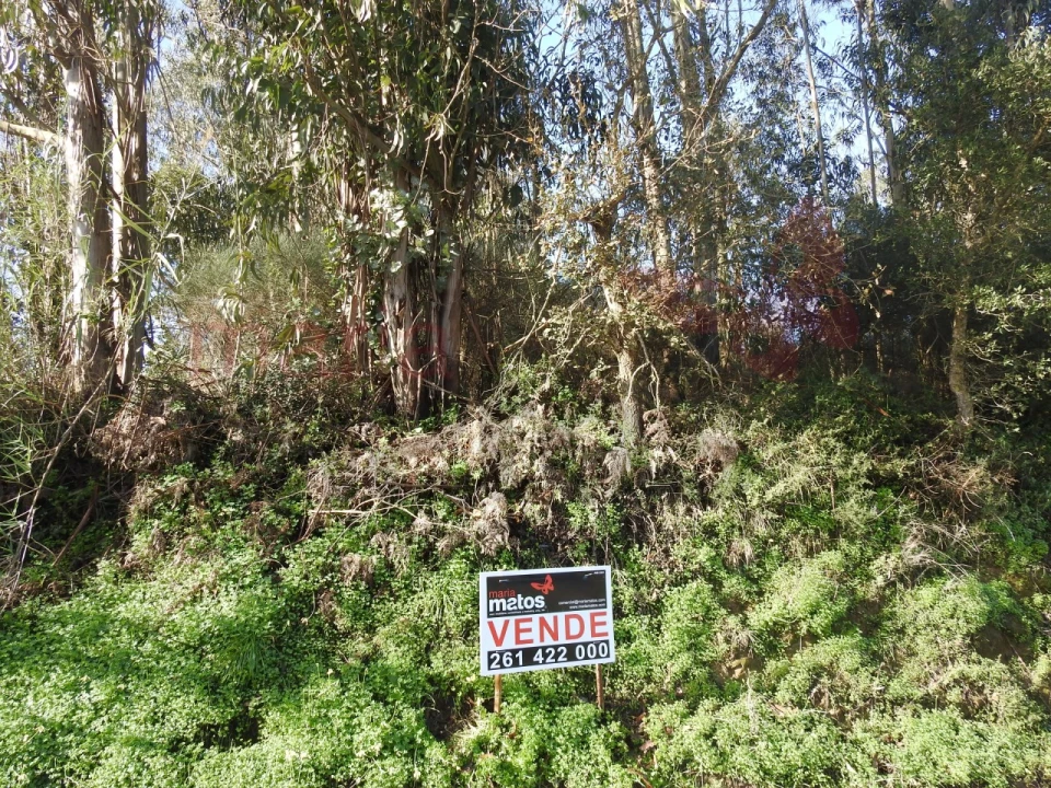 Terreno para Venda em Roliça Foto 9