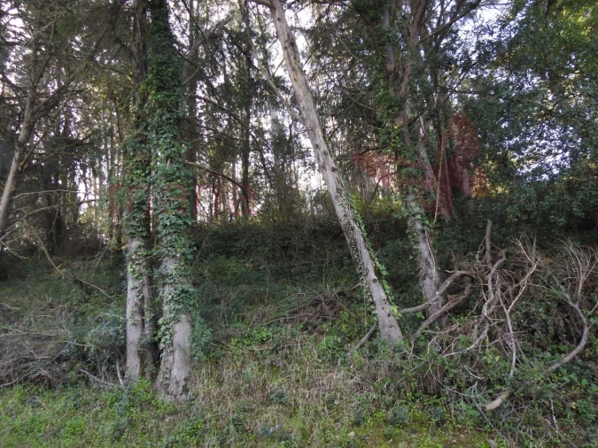 Terreno para Venda em Roliça Foto 7
